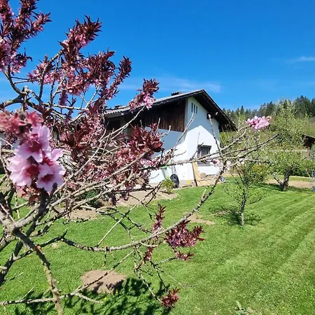 Ferienhaus Im 3 Seen Eck Zwischen Villach Und Velden *